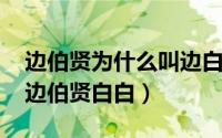 边伯贤为什么叫边白贤（11月08日为什么叫边伯贤白白）