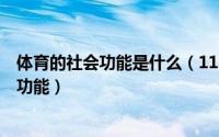 体育的社会功能是什么（11月08日体育主要包括那4个社会功能）