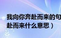 我向你奔赴而来的句子（11月08日我向你奔赴而来什么意思）