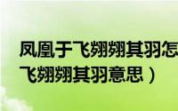 凤凰于飞翙翙其羽怎么读（11月08日凤凰于飞翙翙其羽意思）