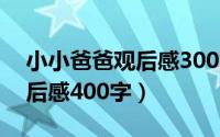 小小爸爸观后感300（10月08日小小爸爸观后感400字）