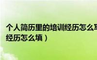 个人简历里的培训经历怎么写（10月08日工作简历中的培训经历怎么填）