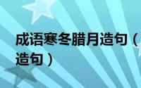 成语寒冬腊月造句（11月08日寒冬腊月怎么造句）