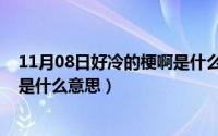 11月08日好冷的梗啊是什么意思啊（11月08日好冷的梗啊是什么意思）