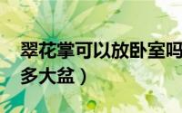 翠花掌可以放卧室吗（11月08日养翠花掌用多大盆）