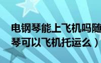 电钢琴能上飞机吗随身携带（11月08日电钢琴可以飞机托运么）