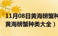 11月08日黄海螃蟹种类大全图片（11月08日黄海螃蟹种类大全）