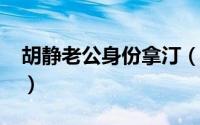 胡静老公身份拿汀（11月09日胡静老公身份）