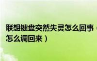 联想键盘突然失灵怎么回事（11月09日联想电脑键盘错乱了怎么调回来）