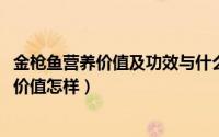 金枪鱼营养价值及功效与什么类似（11月09日金枪鱼的营养价值怎样）