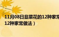 11月08日韭菜花的12种家常做法图片（11月08日韭菜花的12种家常做法）