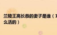 兰陵王高长恭的妻子是谁（10月08日兰陵王高长恭被赐死怎么活的）