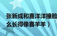 张新成和喜洋洋撞脸（10月08日张新成为什么长得像喜羊羊）