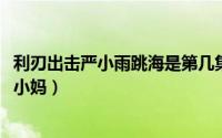 利刃出击严小雨跳海是第几集（11月09日利刃出击严小雨的小妈）