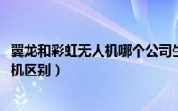 翼龙和彩虹无人机哪个公司生产（11月09日翼龙和彩虹无人机区别）