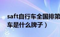 saft自行车全国排第几（10月08日saft自行车是什么牌子）