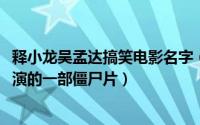 释小龙吴孟达搞笑电影名字（11月08日吴孟达释小龙郝邵文演的一部僵尸片）