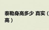 泰勒身高多少 真实（11月09日力量举泰勒身高）