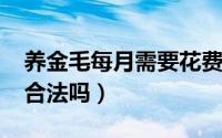 养金毛每月需要花费多少（11月09日养金毛合法吗）