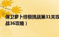 保卫萝卜终极挑战第31关攻略（11月09日保卫萝卜终极挑战36攻略）