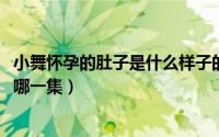 小舞怀孕的肚子是什么样子的（11月09日小舞怀孕肚子疼是哪一集）