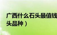 广西什么石头最值钱（11月10日广西值钱石头品种）