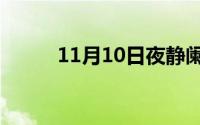 11月10日夜静阑珊处是什么意思