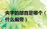 央字的部首是哪个（11月09日央字的部首是什么偏旁）