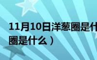 11月10日洋葱圈是什么节日（11月10日洋葱圈是什么）