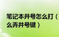 笔记本井号怎么打（11月10日笔记本电脑怎么弄井号键）