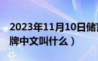 2023年11月10日储蓄国债（11月10日wy品牌中文叫什么）