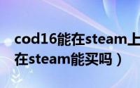 cod16能在steam上买吗（11月10日cod16在steam能买吗）