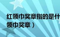 红领巾奖章指的是什么（11月10日什么是红领巾奖章）