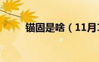 锚固是啥（11月10日锚固的原理）