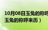 10月08日玉兔的称呼来历和含义（10月08日玉兔的称呼来历）