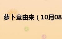 萝卜章由来（10月08日萝卜章是什么意思）