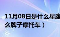 11月08日是什么星座（10月08日motor是什么牌子摩托车）