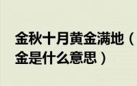 金秋十月黄金满地（11月10日金秋十月满地金是什么意思）