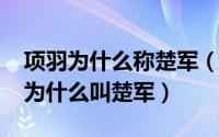 项羽为什么称楚军（11月11日项羽是江苏人为什么叫楚军）