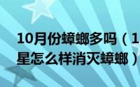 10月份蟑螂多吗（11月10日蟑螂最怕3个克星怎么样消灭蟑螂）