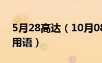 5月28高达（10月08日高达是什么意思网络用语）