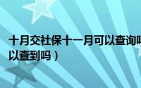 十月交社保十一月可以查询吗（11月10日社保凭身份证就可以查到吗）