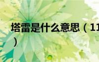 塔雷是什么意思（11月10日塔雷米技术特点）