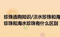 珍珠选购知识/淡水珍珠和海水珍珠的区别?（10月08日淡水珍珠和海水珍珠有什么区别）