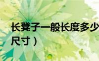 长凳子一般长度多少（11月11日长凳子最佳尺寸）