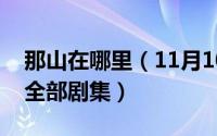 那山在哪里（11月10日那山那海电视连续剧全部剧集）