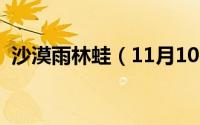 沙漠雨林蛙（11月10日沙漠雨蛙可以养吗）