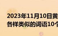 2023年11月10日黄道吉日（11月10日各种各样类似的词语10个）