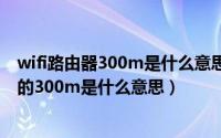 wifi路由器300m是什么意思（11月11日无线路由器型号中的300m是什么意思）