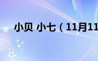 小贝 小七（11月11日贝小七名字由来）